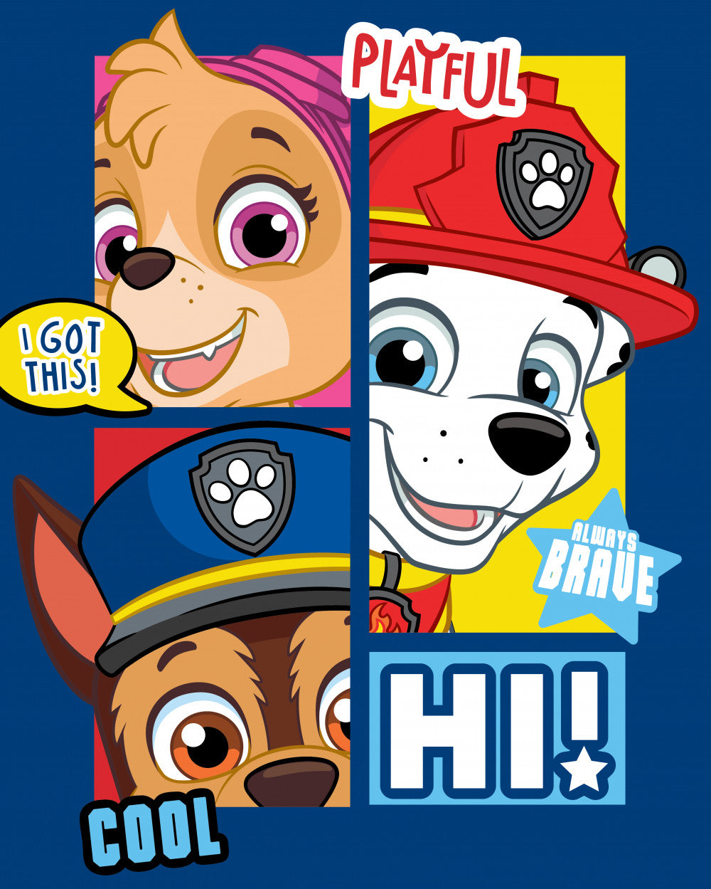 Paw Patrol Polardecke 100x140cm