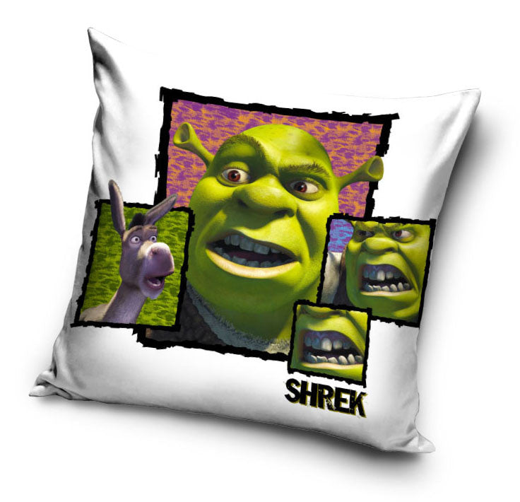 Shrek Kissenbezug 40x40 cm Samt