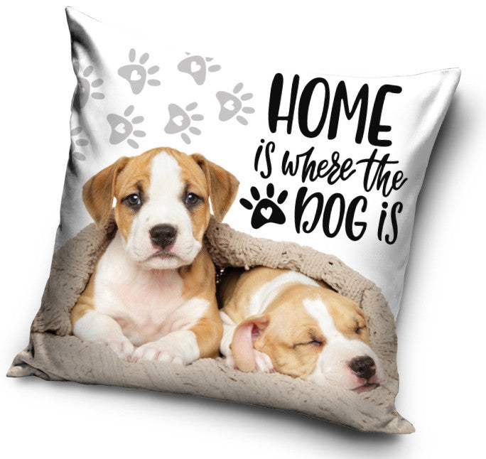 Hund Home Kissenbezug 40x40 cm Samt