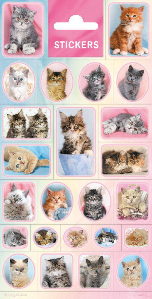 Tiere Cats Aufkleber