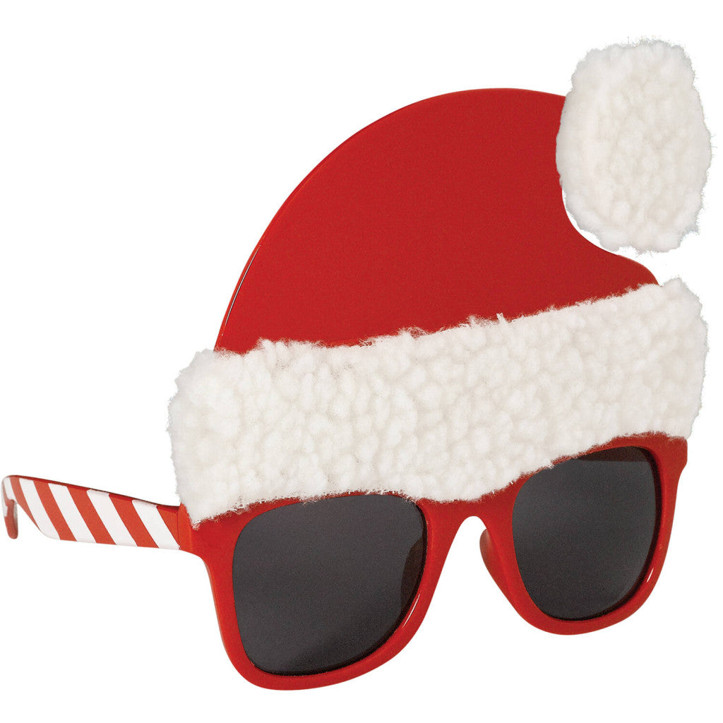 Weihnachten Santa Hat i Brille