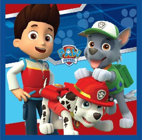 Paw Patrol Magisches Handtuch Gesichtstuch, Handtuch 30x30cm
