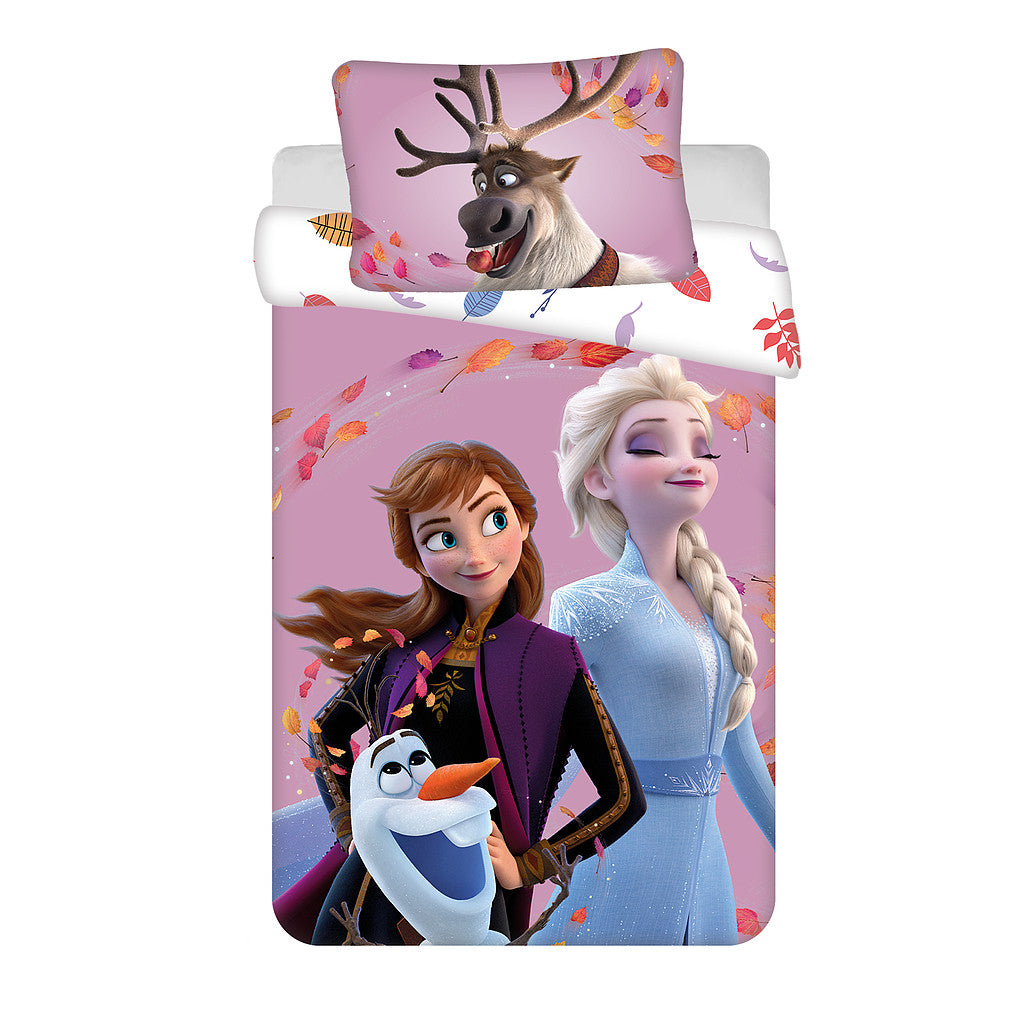 Disney Eiskönigin Wind Kinderbettwäsche 100×135 cm, 40×60 cm