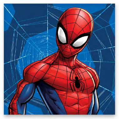 Spiderman Web Handtuch, Gesichtstuch, Handtuch 30x30cm