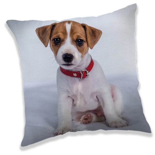 Hund Dekokissen 40*40 cm