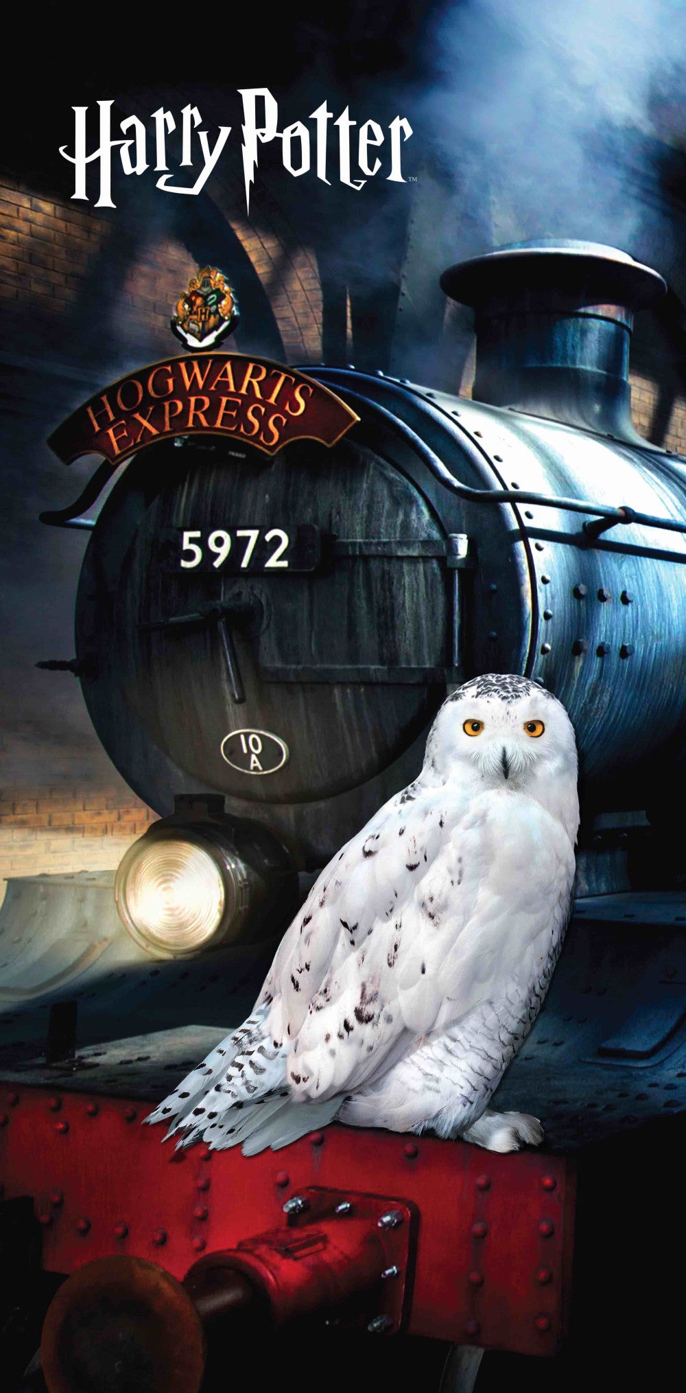 Harry Potter Hedwig Badetuch, Strandtuch 70x140cm