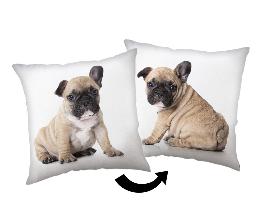Hund Bulldog Dekokissen 40x40 cm