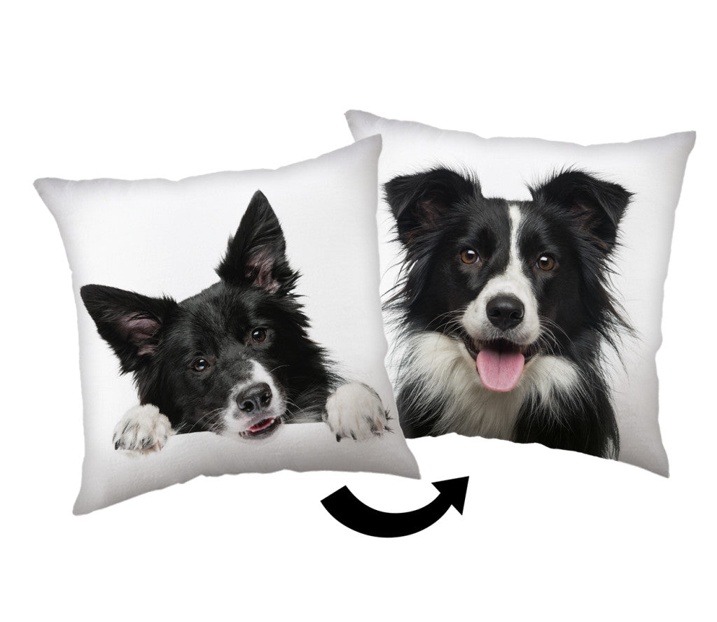 Hund Border Collie Dekokissen 40x40 cm