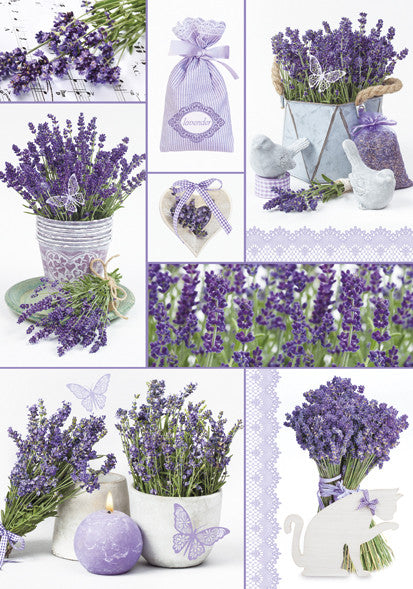 Farbe Moments Lavendel A/4 Gummimappe