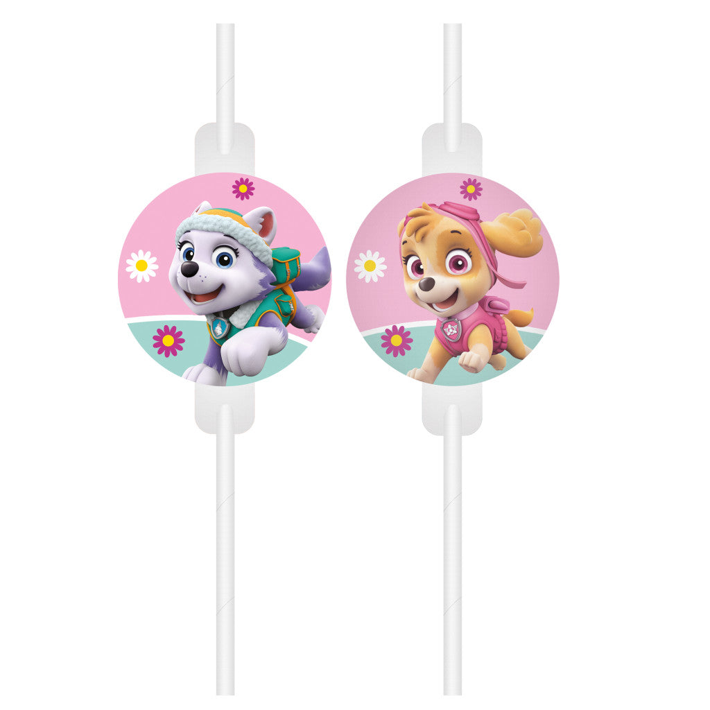 Paw Patrol Skye and Everest Papierstrohhalme, 4er-Set FSC